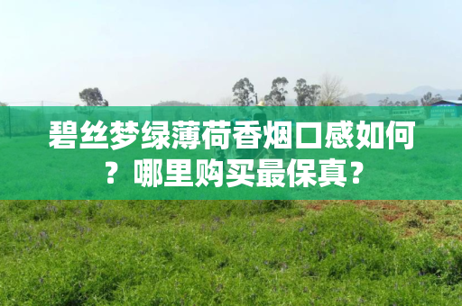 碧丝梦绿薄荷香烟口感如何？哪里购买最保真？